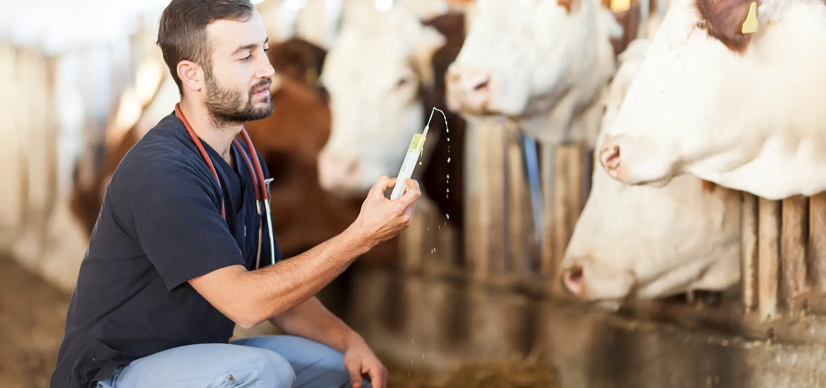 Čo je veterinárny odbor v chove zvierat?